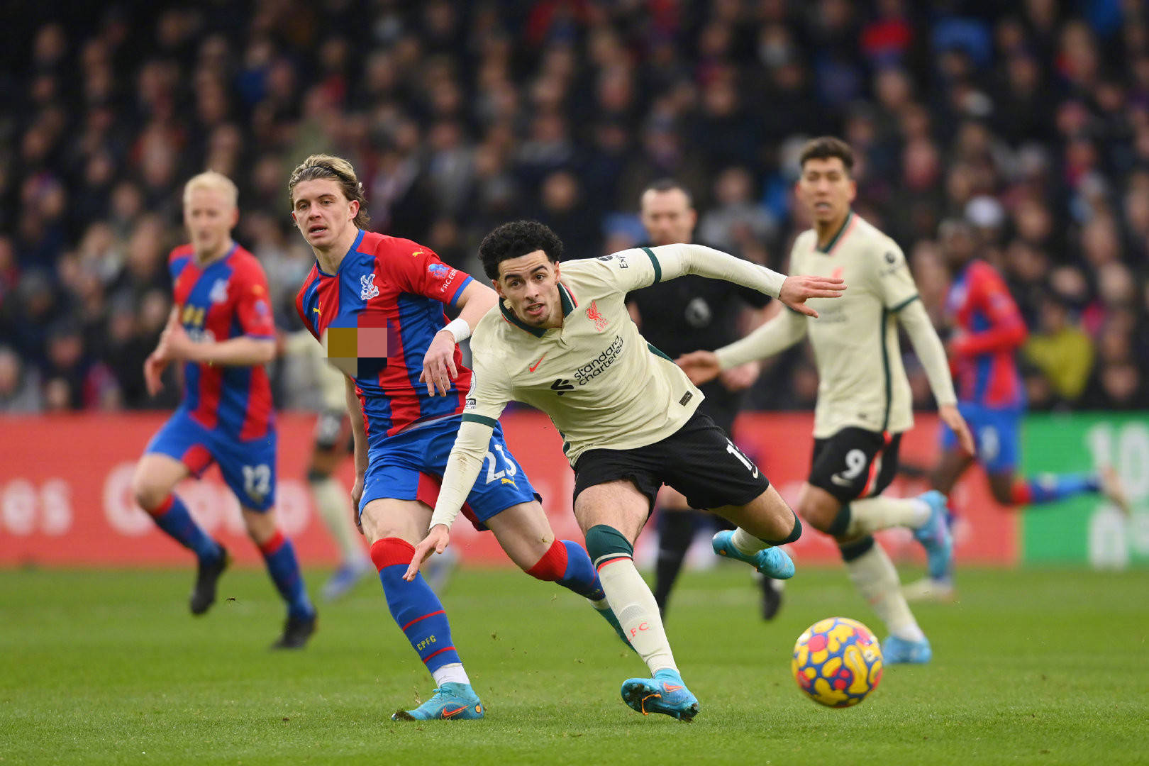 多夫斯基的 多夫斯基的