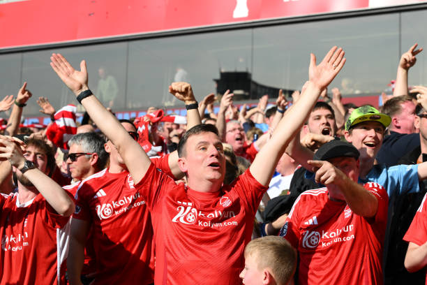 术体系奠定 术体系奠定